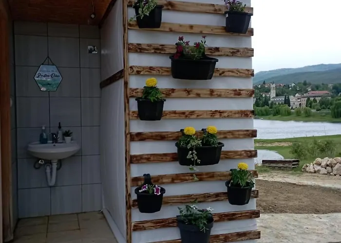 Auto Grubesa 캠프장 Scit